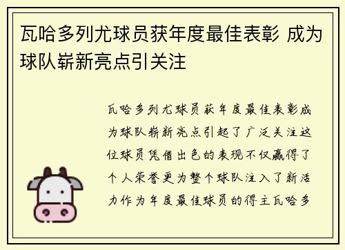 瓦哈多列尤球员获年度最佳表彰 成为球队崭新亮点引关注